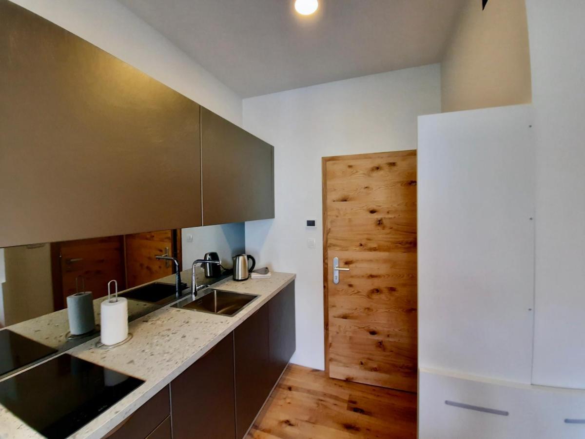 Apartment Silver 卢布尔雅那 外观 照片