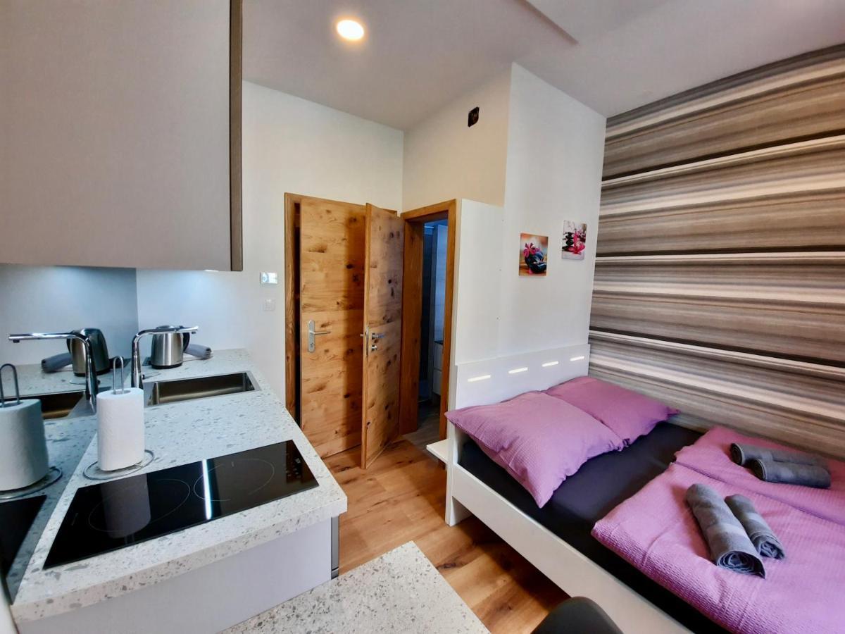 Apartment Silver 卢布尔雅那 外观 照片